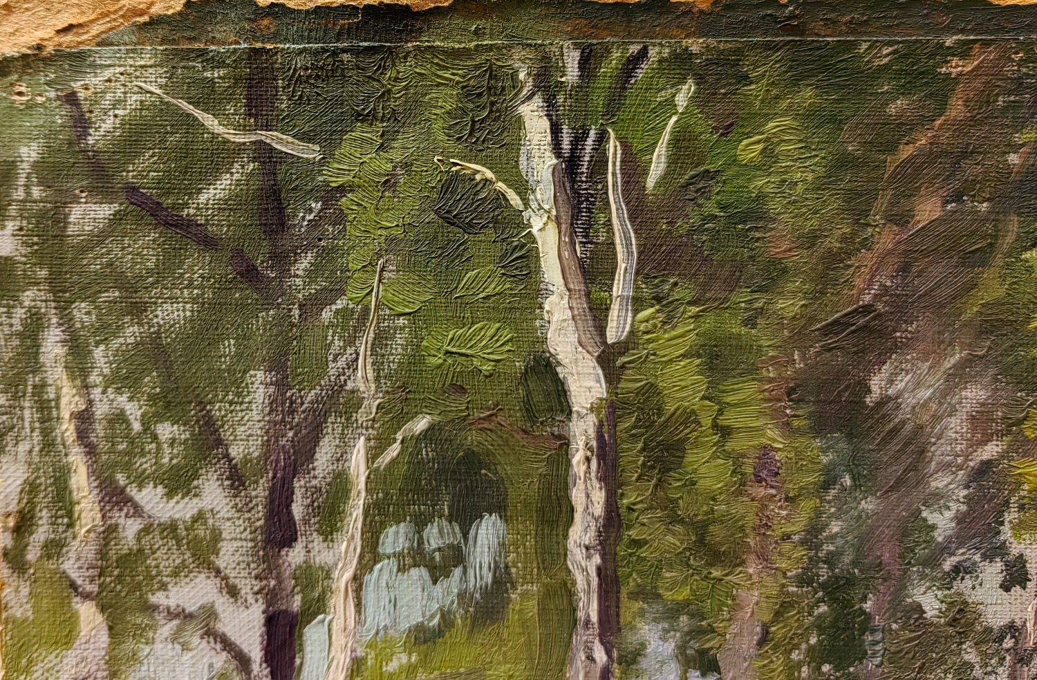 Бакшеев Василий Николаевич. Березова роща