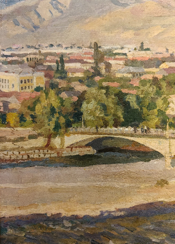 Покаржевский Петр Дмитриевич. Город Гори