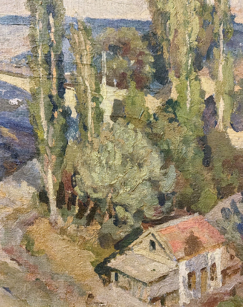 Покаржевский Петр Дмитриевич. Город Гори