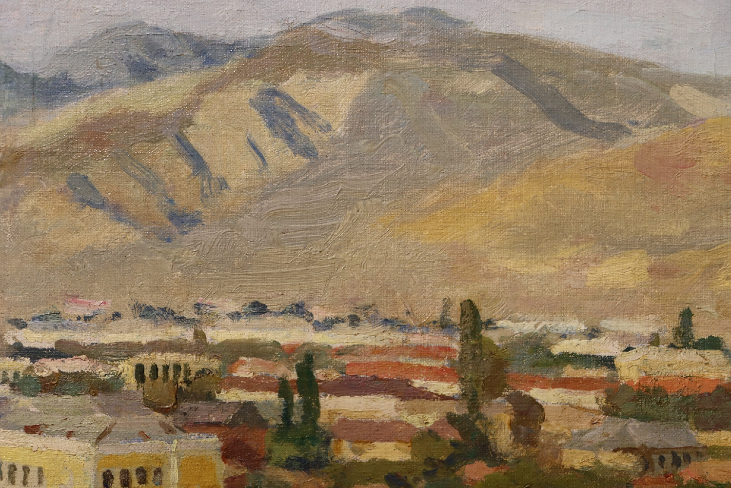 Покаржевский Петр Дмитриевич. Город Гори