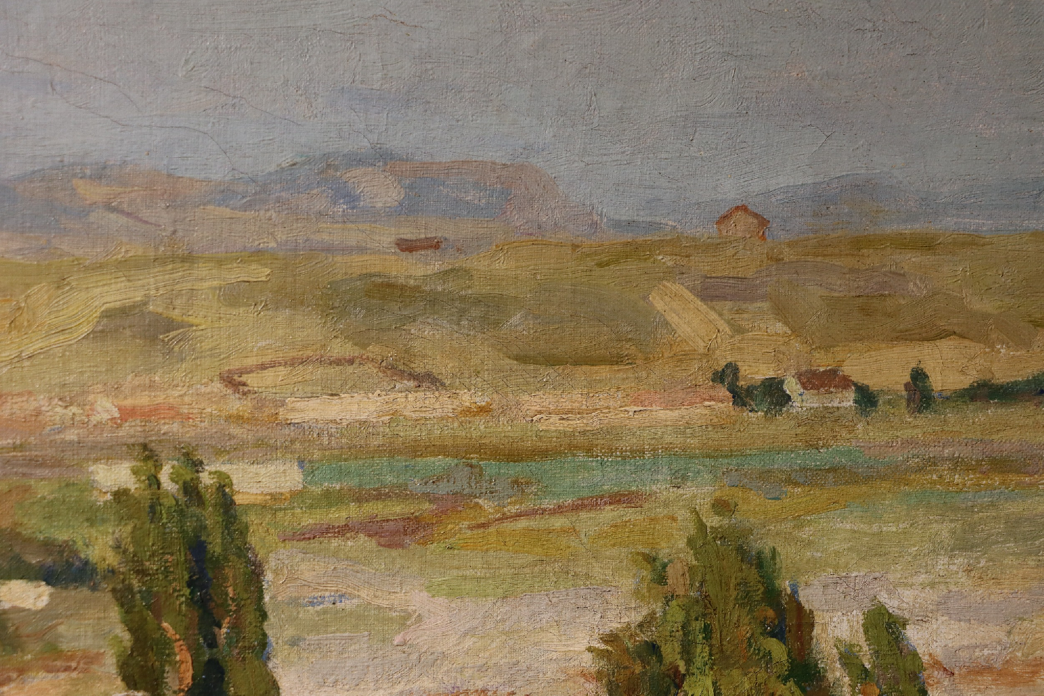 Покаржевский Петр Дмитриевич. Город Гори