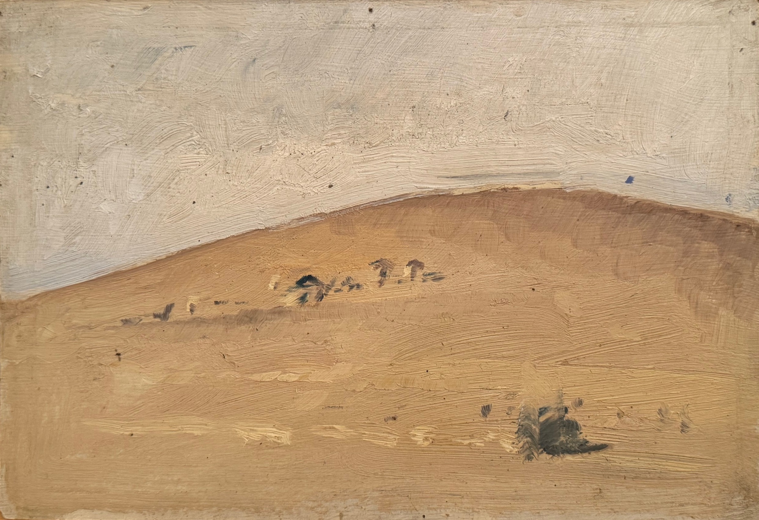 Котов Николай Георгиевич. Бархан