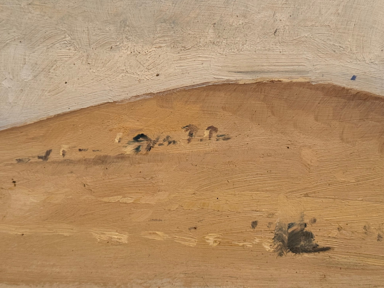 Котов Николай Георгиевич. Бархан