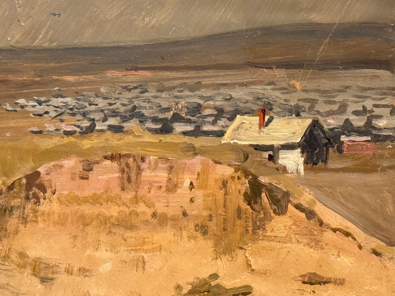 Котов Николай Георгиевич. Степь