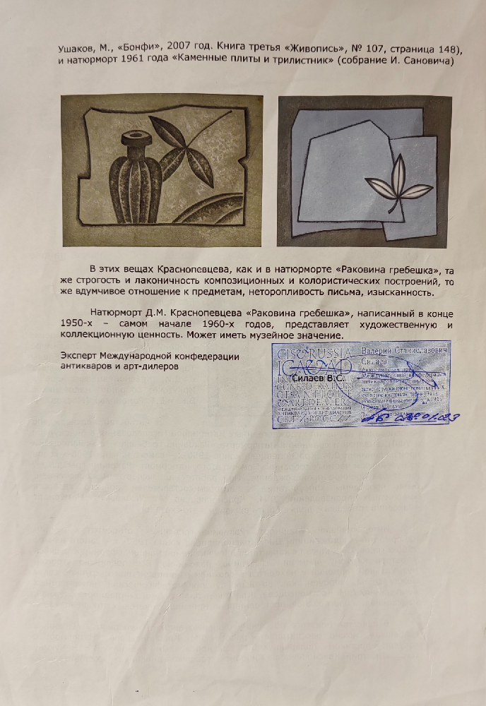 Краснопевцев Дмитрий Михайлович. Раковина гребешка