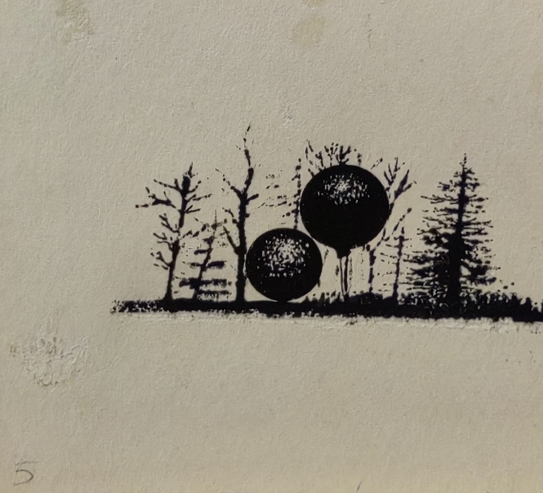 Тамби Владимир Александрович. Запуск стратостата.