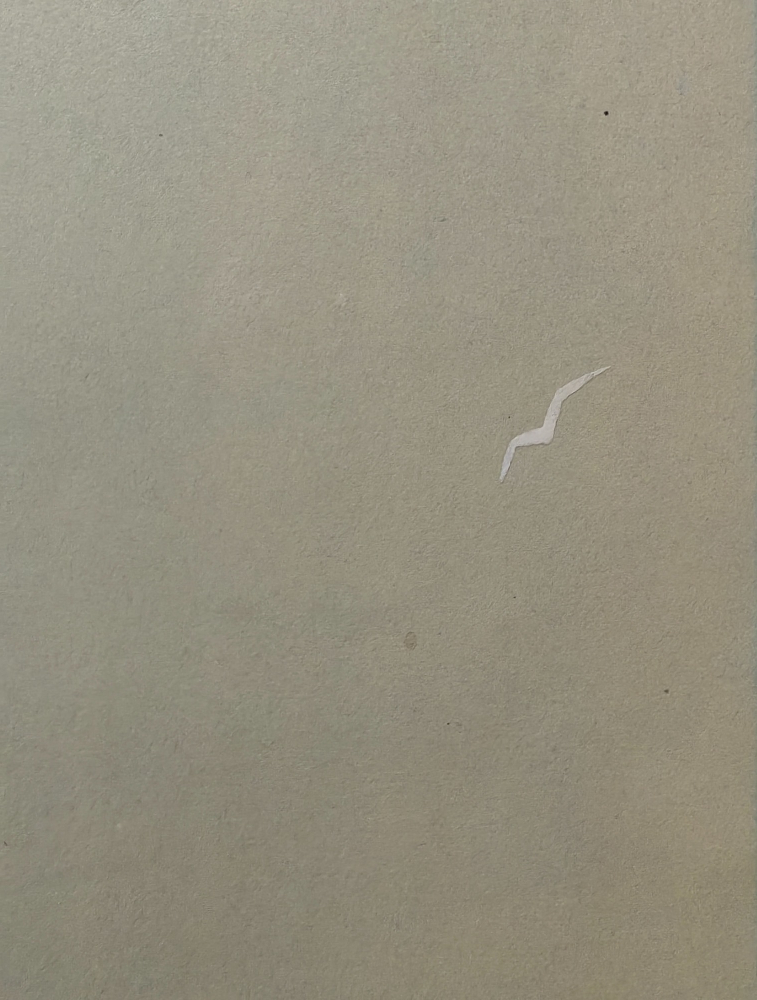 Тамби Владимир Александрович. Ледокол-паром