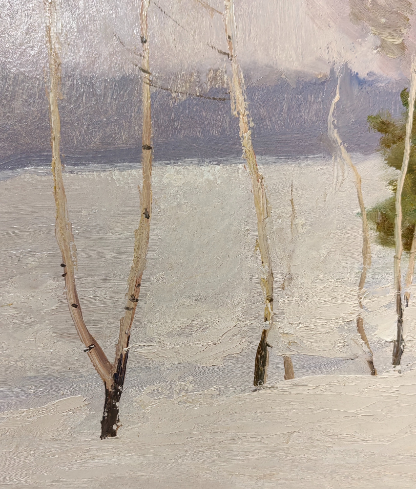 Соколов Николай Александрович. Зимний день