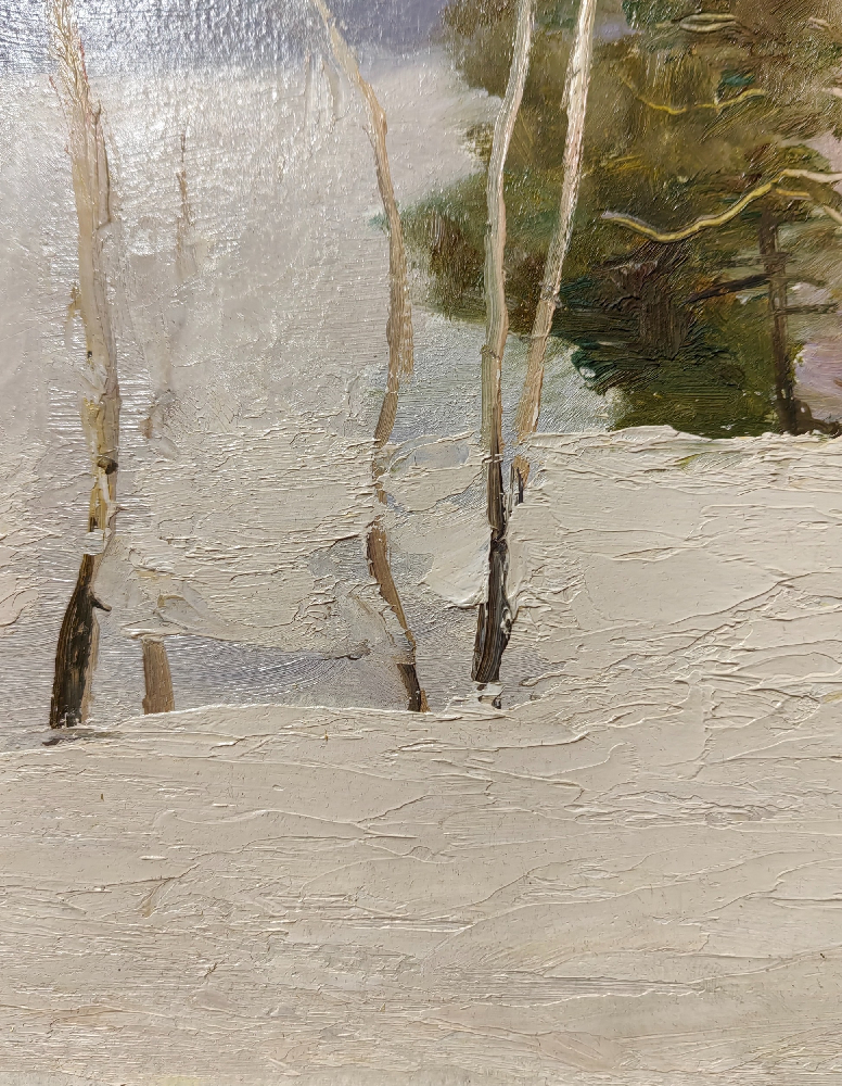 Соколов Николай Александрович. Зимний день