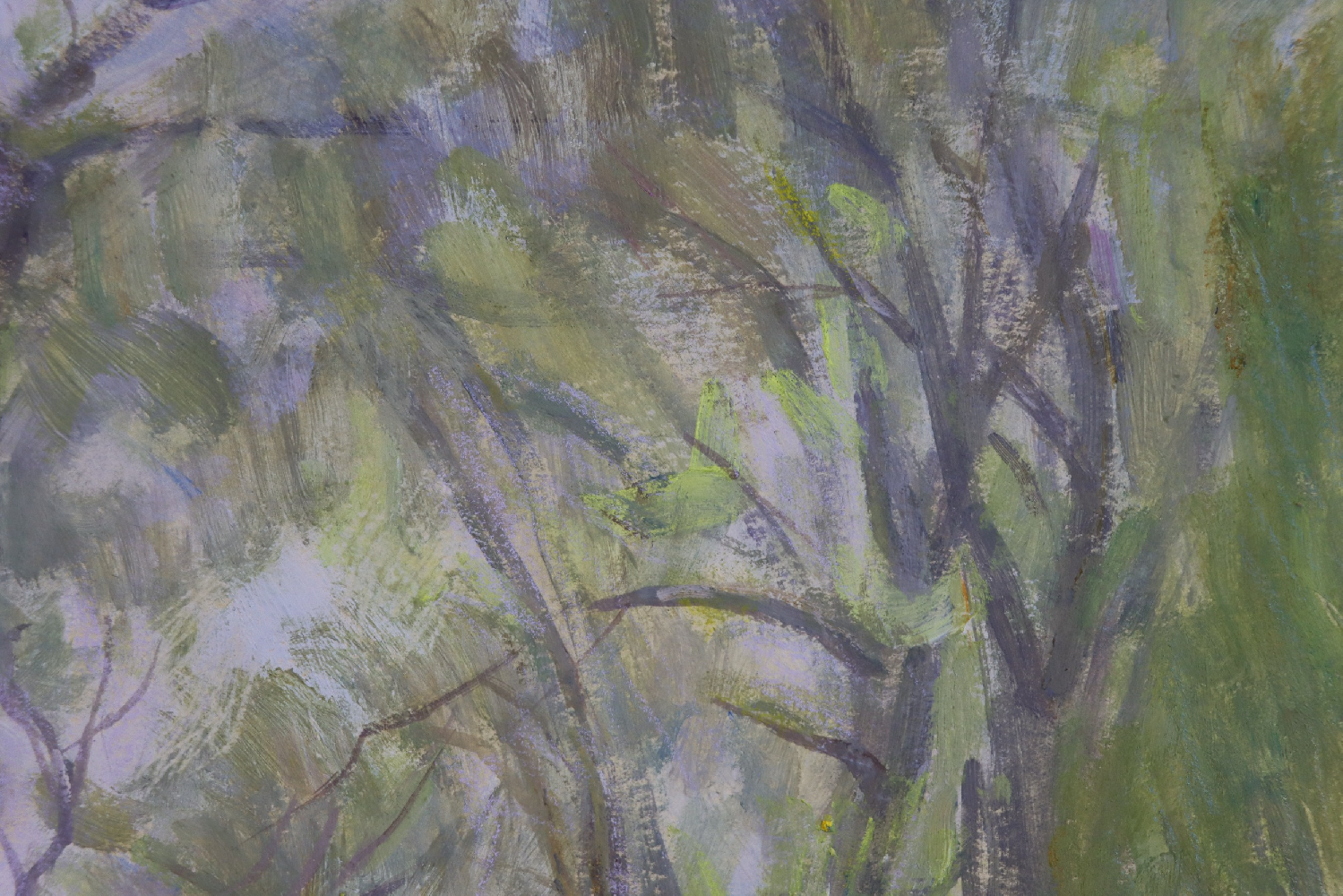 Дехтерёва Татьяна Александровна. Аллея. Золотой берег. Болгария