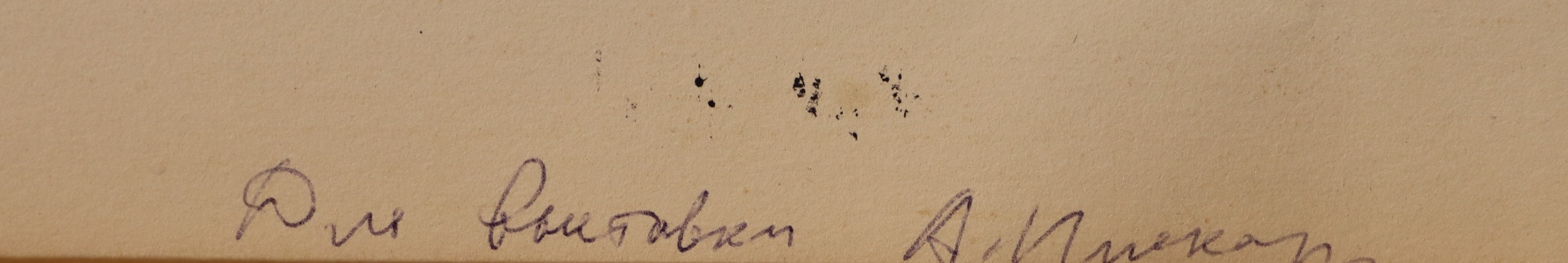 Пискарёва Анна Николаевна. Строим наше будущее. Магнитогорск