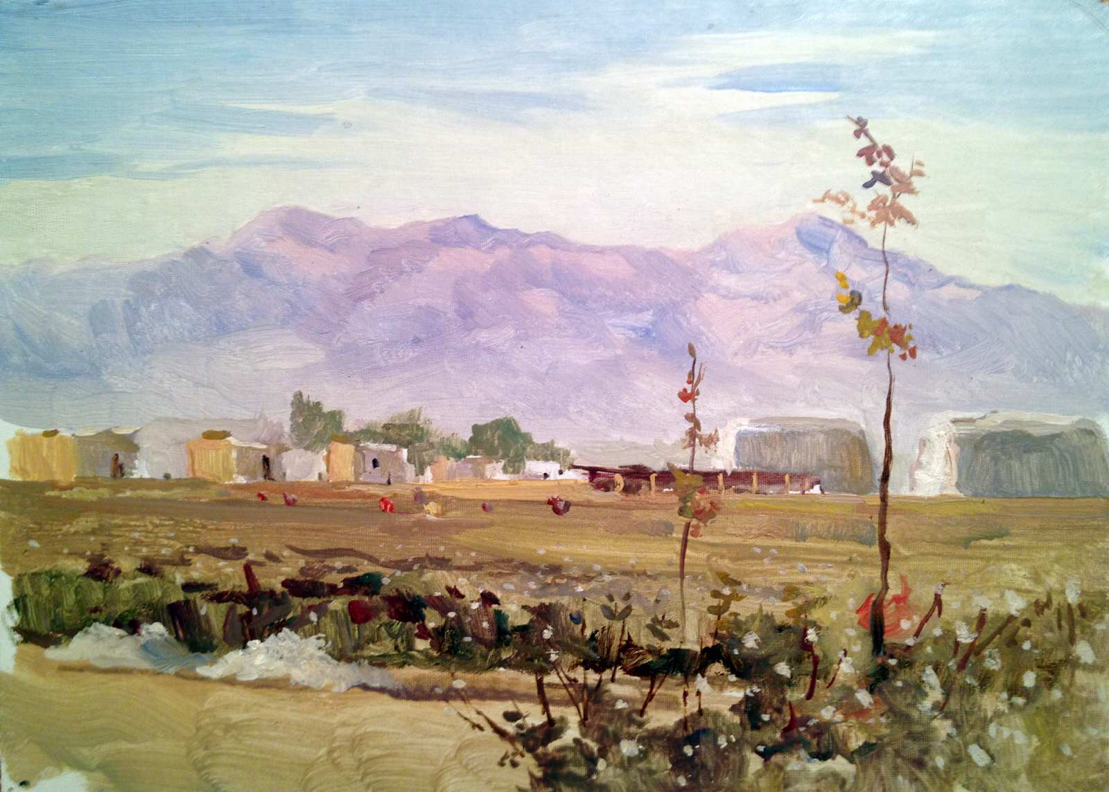 Ершов Игорь Александрович. Освоенная целина. Новобоу.