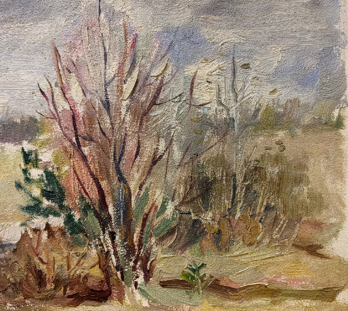 Ершов Игорь Александрович. Весенний пейзаж.