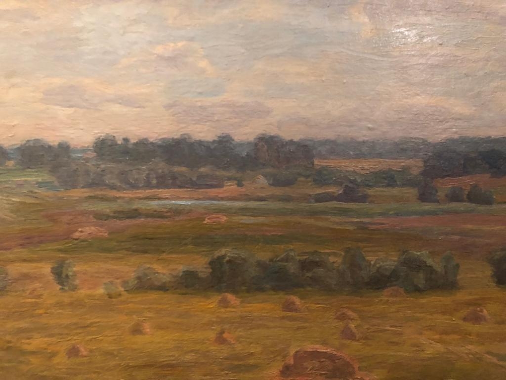 Пасько Геннадий Иванович. Скошенный луг