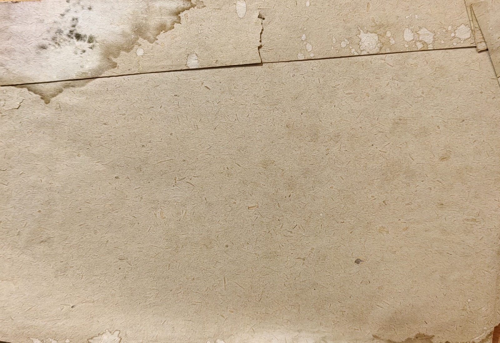 Оборот. Обручева Нина Николаевна. Городской пейзаж