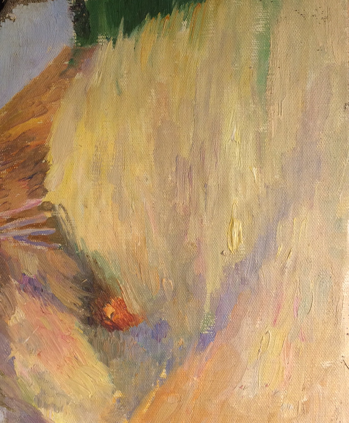 Оборот. Гольдингер Екатерина Васильевна. Девушка с распущенными волосами.