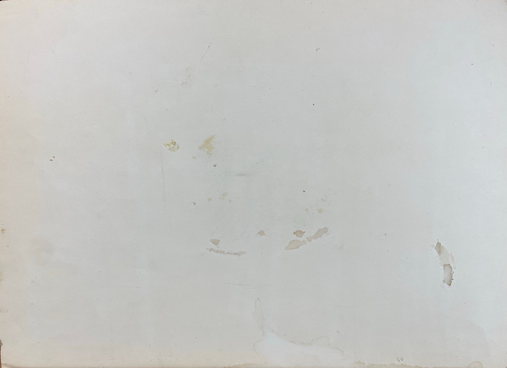 Оборот. Рожнев Владислав Валентинович. Сосны