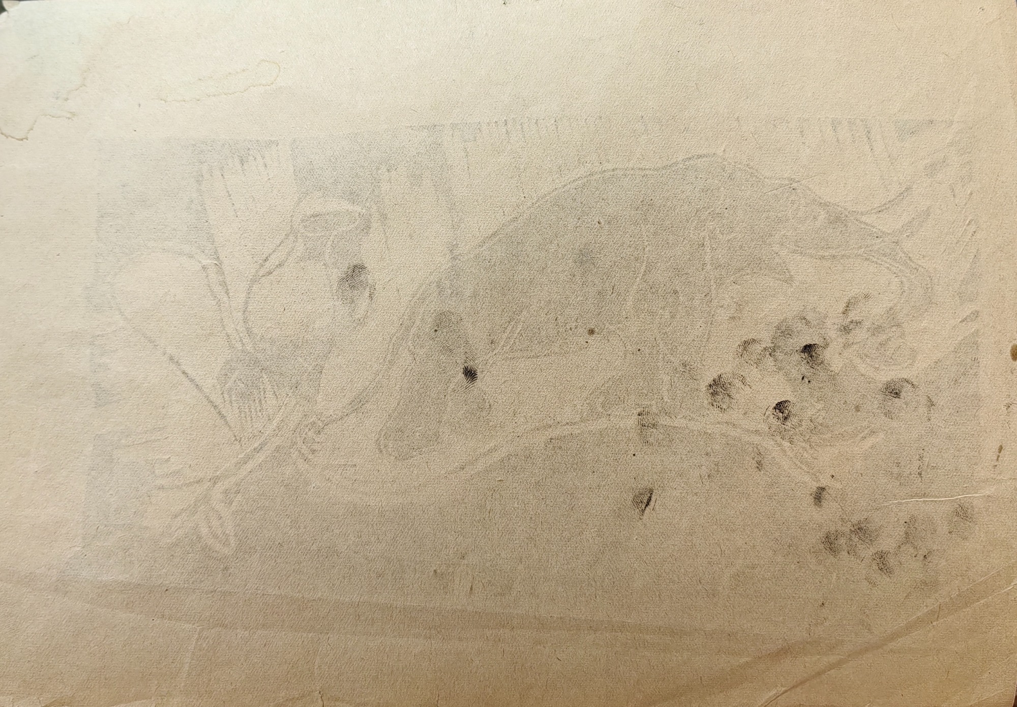 Оборот. Зверев Анатолий Тимофеевич. Слон