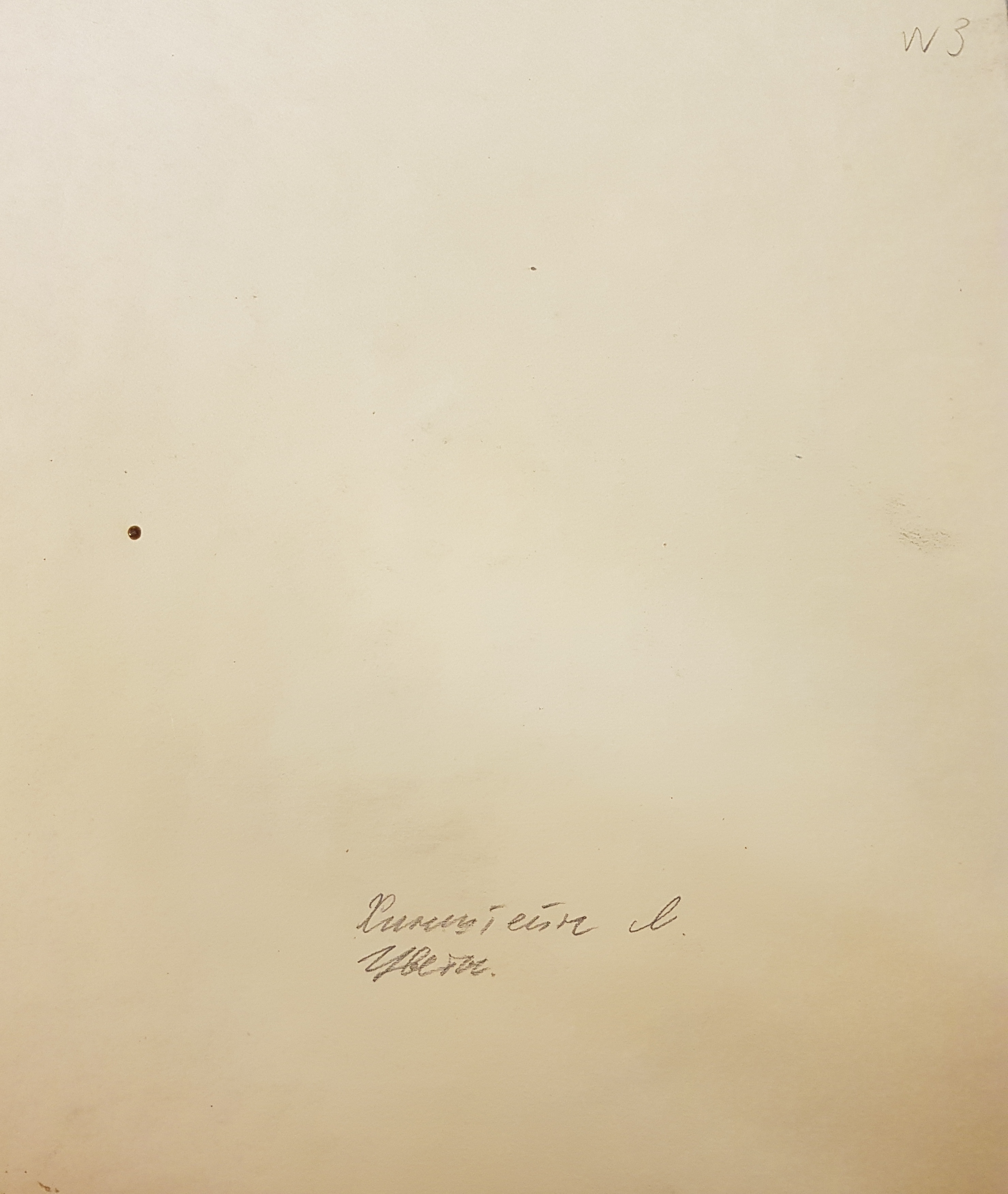 Оборот. Хинштейн Лия Владимировна. Цветы