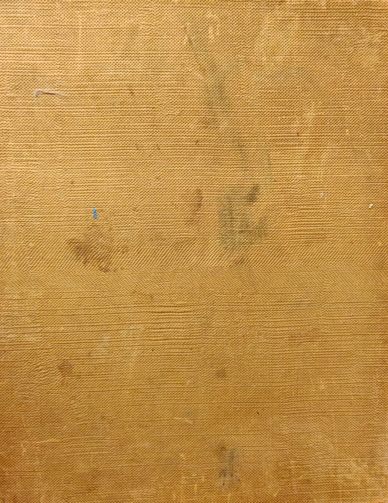 Оборот. Карвовский Алексей Васильевич. Гладильщица