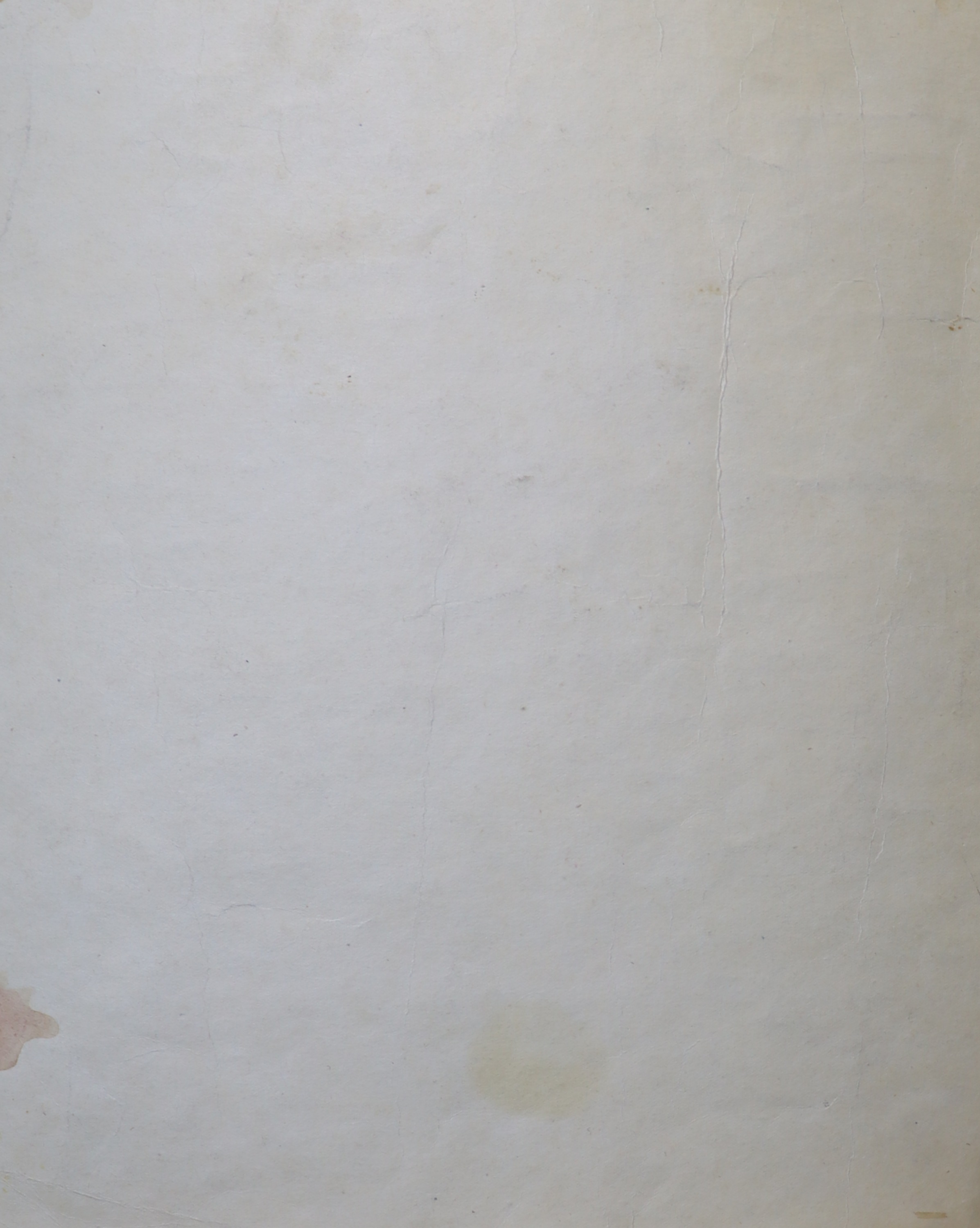 Оборот. Белякова Алла Михайловна. Тюльпаны в вазе