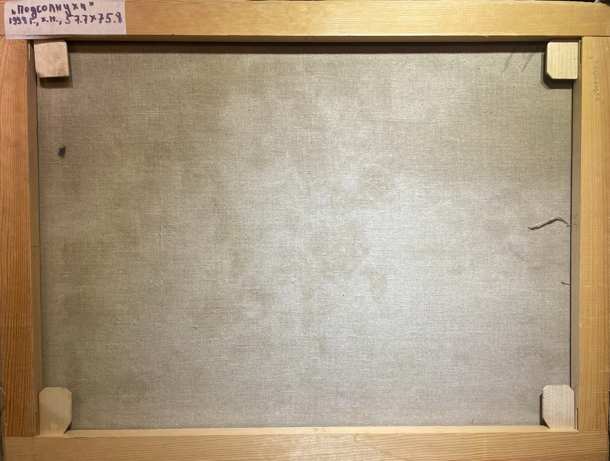 Оборот. Кончаловский Михаил Петрович. Подсолнухи