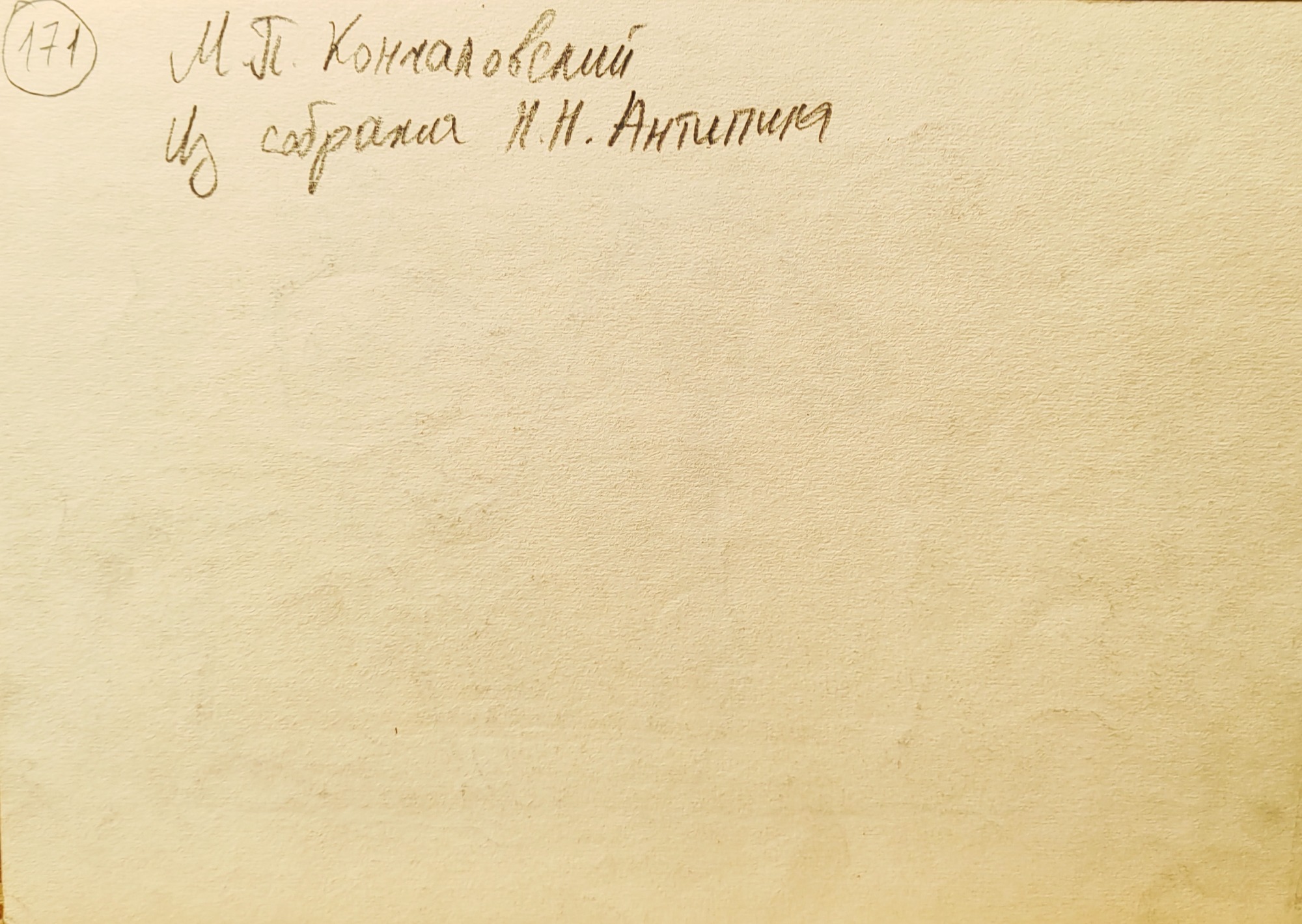 Оборот. Кончаловский Михаил Петрович. Купание коня. 171