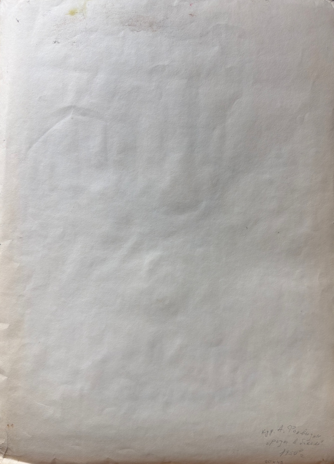 Оборот. Фонвизин Артур Владимирович. Цветы в бокале