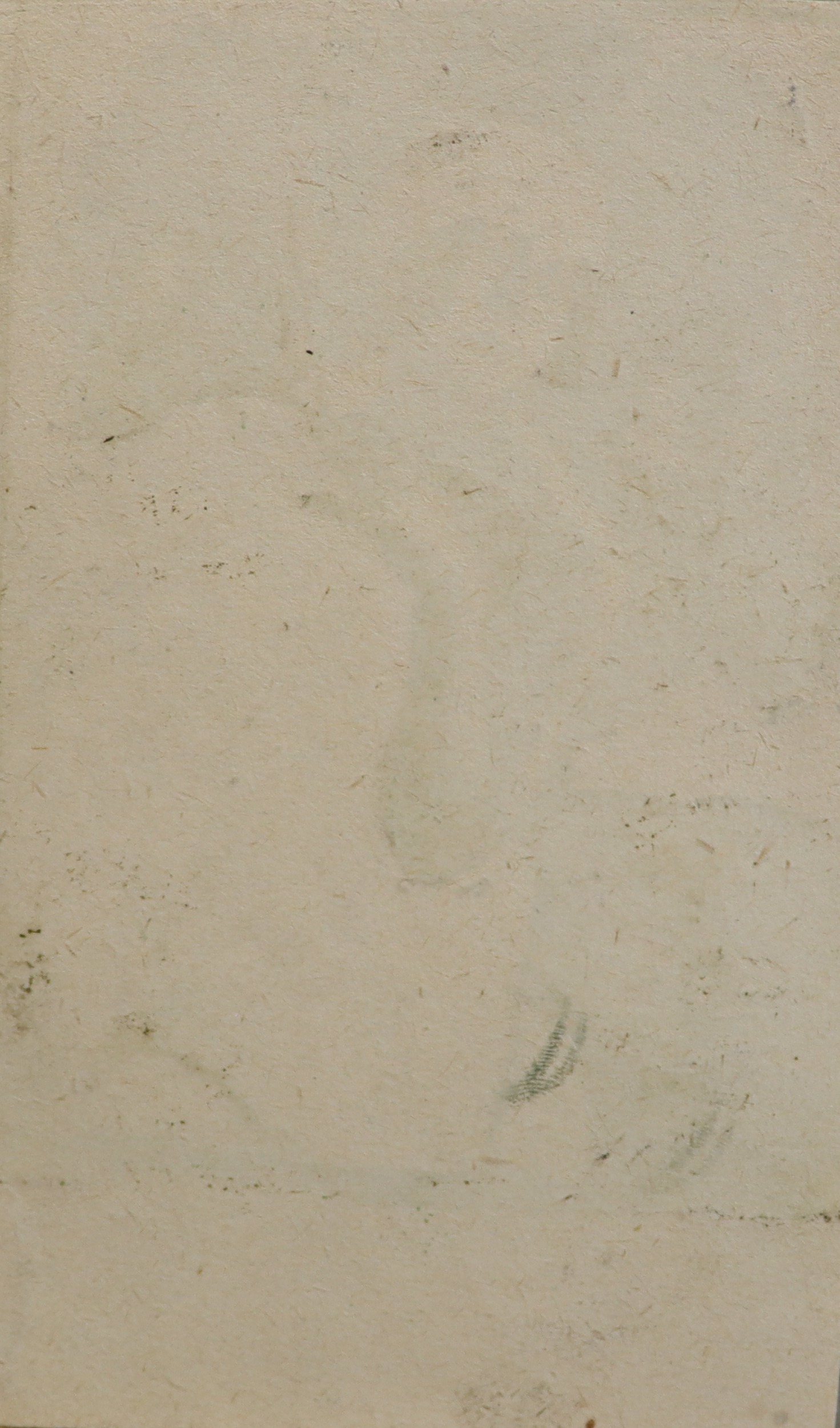 Оборот. Кустодиев Борис Михайлович. Купальщица