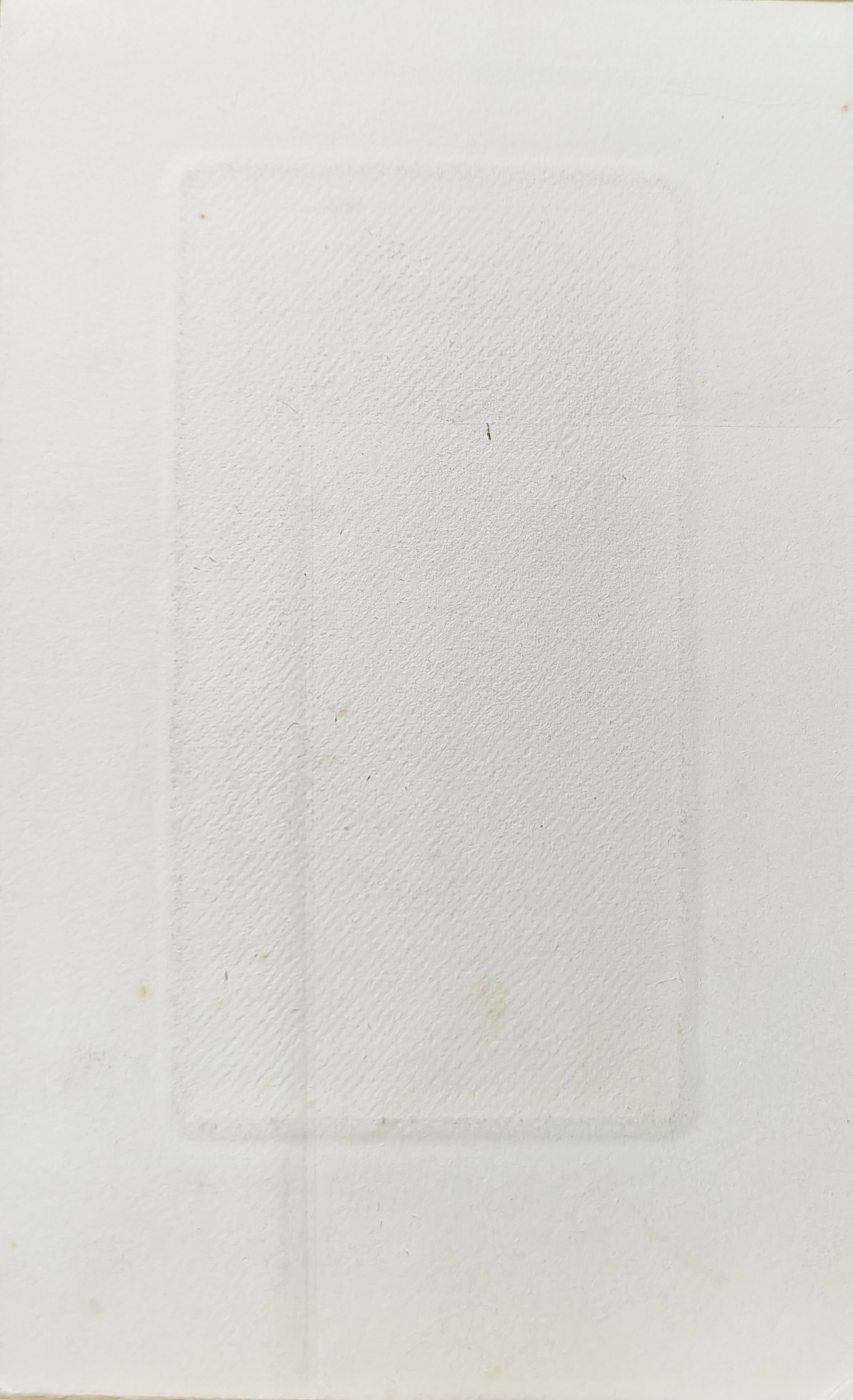 Оборот. Верейский Георгий Семенович. Портрет молодой женщины