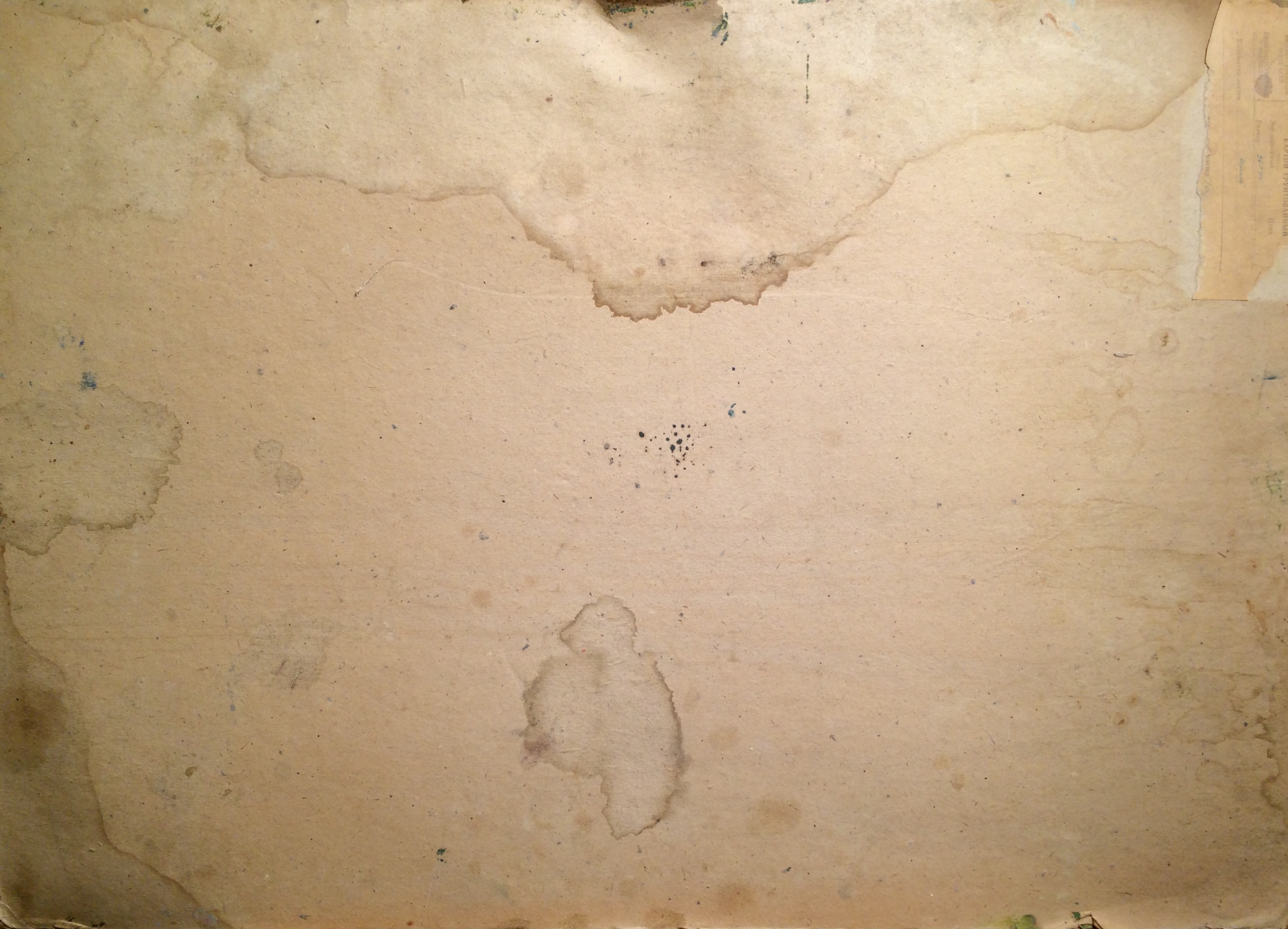 Оборот. Скорубская Нина Васильевна. Прогулка в парке.