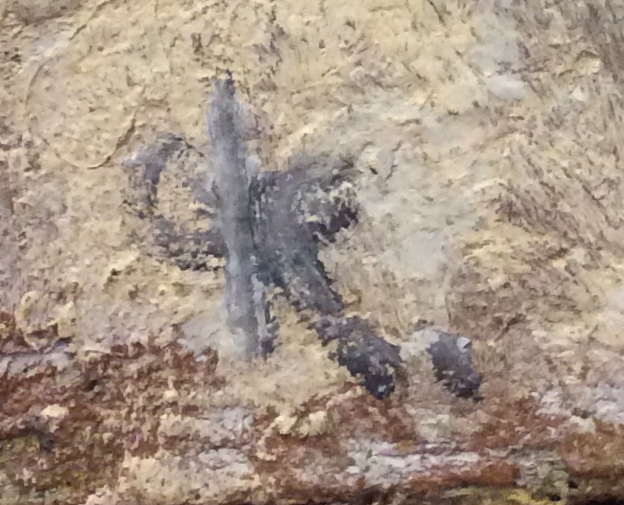 Подпись. Константинов Федор Константинович. Музыка