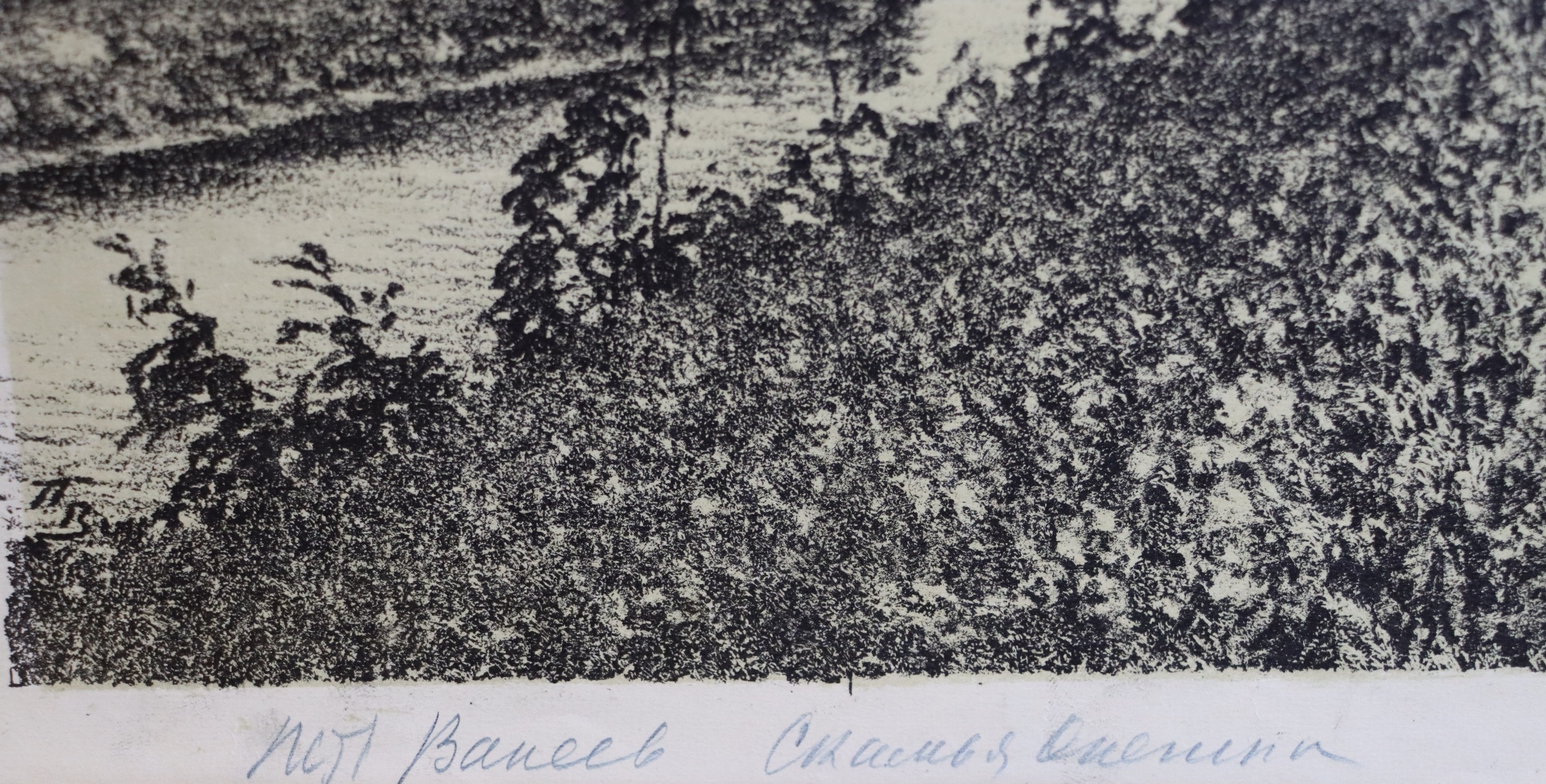 Подпись. Ванеев Петр Иванович. Пушкинские места.Тригорское.Скамья Онегина