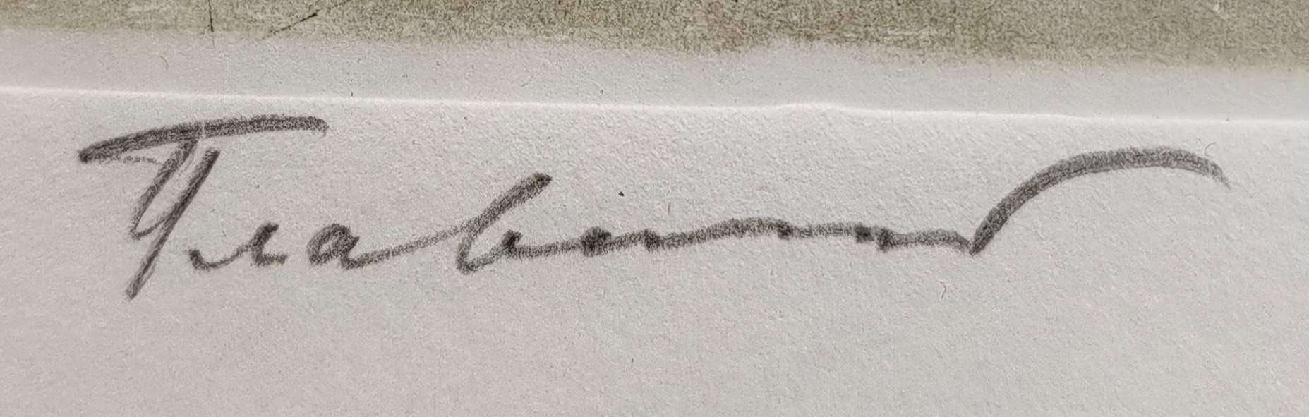 Подпись. Плавинский Дмитрий Петрович. Нет названия